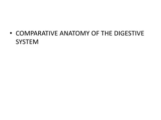 Overview of Comparative Anatomy of Digestive Systems and Dental Formulas in Various Animal Species