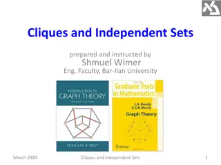 Insights into Cliques and Independent Sets in Graph Theory