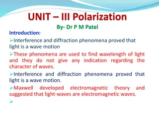 Light Wave Polarization and Brewster's Law