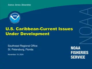 Current Fisheries Management Updates in the U.S. Caribbean Region