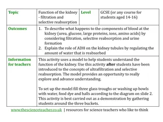 Interactive Model Demonstrating Kidney Function for Understanding Filtration and Selective Reabsorption