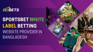 Sportsbet White Label Betting Website Provider in Bangladesh