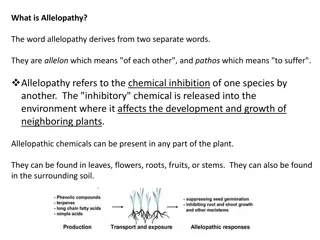 Allelopathy: Chemical Interactions Among Plants