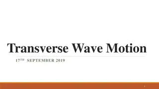 Transverse Wave Motion in Physics