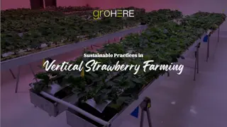 Sustainable Practices in Vertical Strawberry Farming