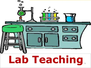 Exploring the Role and Objectives of Laboratory Teaching