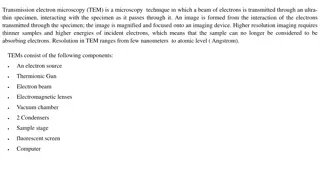 Understanding Transmission Electron Microscopy (TEM)