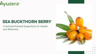 Sea Buckthorn Berry: A Nutrient-Packed Superfood for Health and Wellness