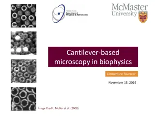 Cantilever-Based Microscopy in Biophysics