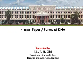 Different Forms of DNA Structures