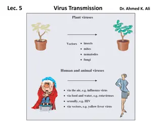 Understanding Virus Transmission via Vectors in Hosts