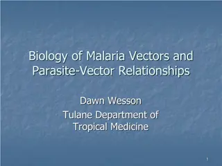 Malaria Vectors and Their Habitats