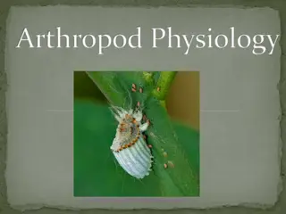 Overview of Arthropod Physiology and Morphology