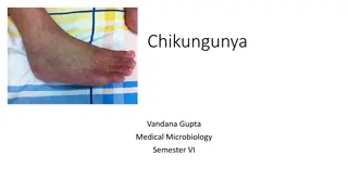 Understanding Chikungunya Virus: Symptoms, Transmission, and Diagnosis