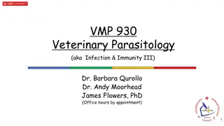 Veterinary Parasitology Course Syllabus