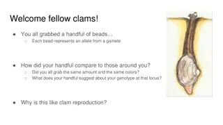 Genetic Principles Through Clam Reproduction