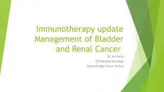 Comprehensive Overview of Immunotherapy in Bladder and Renal Cancer Management