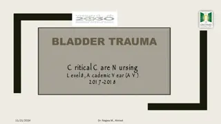 Bladder Trauma: Etiology, Pathophysiology, and Management