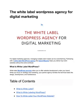 The white label wordpress agency for digital marketing