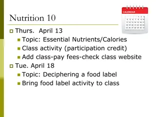 Understanding Essential Nutrients and Calories in Nutrition Basics