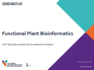 Plant Bioinformatics Studies on ChIP-Seq Data Analysis