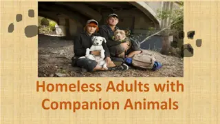 The Bond Between Homeless Adults and Companion Animals