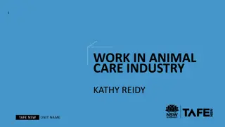 Careers in Animal Care Industry at TAFE NSW