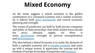 Mixed Economy and Its Merits