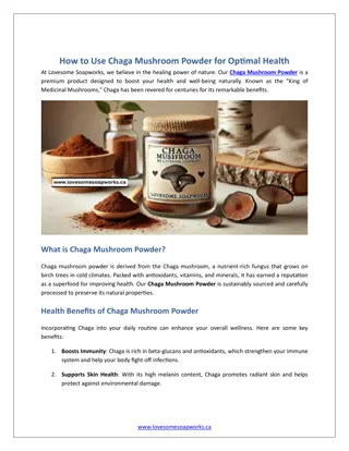 How to Use Chaga Mushroom Powder for Optimal Health