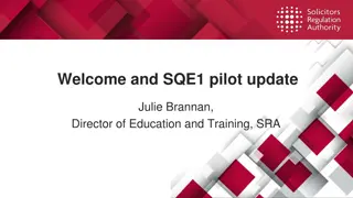 Update on SQE Pilot and Expert Input for Assessment Design