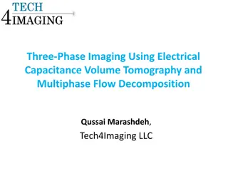 Advanced Imaging Techniques for Three-Phase Flows in Reactor Systems