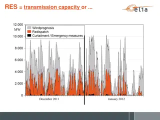 Renewable Energy Strategies for Transmission and Market Flexibility