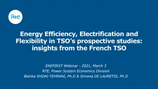 Insights into Energy Efficiency, Electrification, and Flexibility in TSO Studies