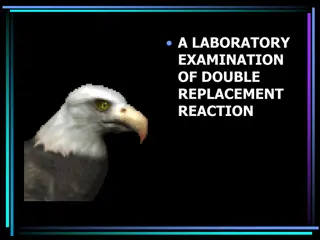 Laboratory Examination of Double Replacement Reaction