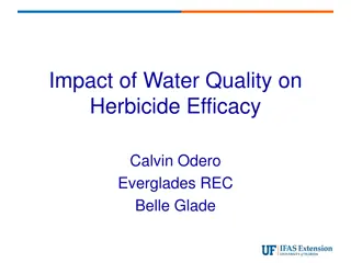 Understanding the Impact of Water Quality on Herbicide Efficacy