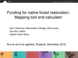 Funding for Native Forest Restoration: Tools and Eligibility Criteria