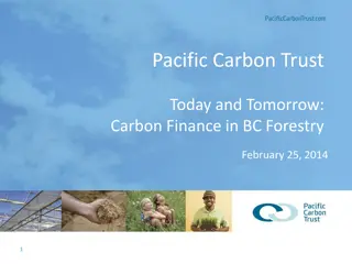 Carbon Finance Opportunity in BC Forestry