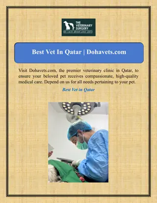 Best Vet In Qatar | Dohavets.com