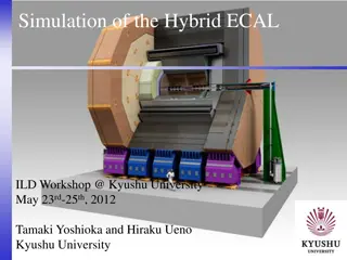 Simulation of the Hybrid ECAL Workshop at Kyushu University 2012