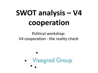 V4 Cooperation SWOT Analysis and Stakeholders Overview