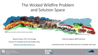 The Wicked Wildfire Problem and Solution Space