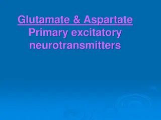 Understanding Glutamate: The Primary Excitatory Neurotransmitter