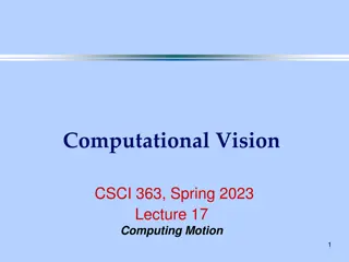 Motion Perception in Computational Vision