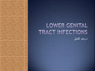 Lower Genital Tract Infections