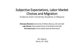 Influencing Labor and Migration Choices of University Students in Mozambique