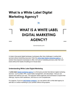 What Is a White Label Digital Marketing Agency