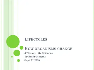 Organism Changes in their Lifecycles