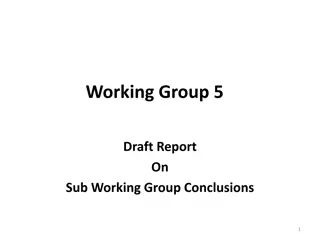 Sub Working Group Conclusions on Various Spectrum Interference Analyses