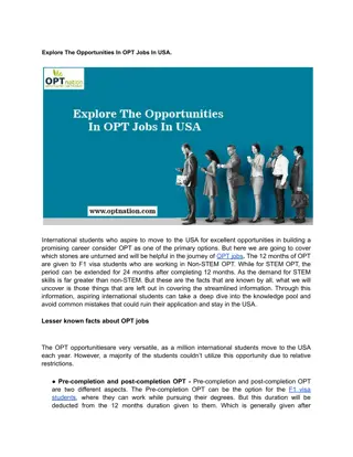 Explore The Opportunities In OPT Jobs In USA