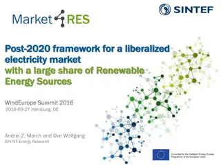 Challenges and Insights in the Post-2020 Renewable Energy Market